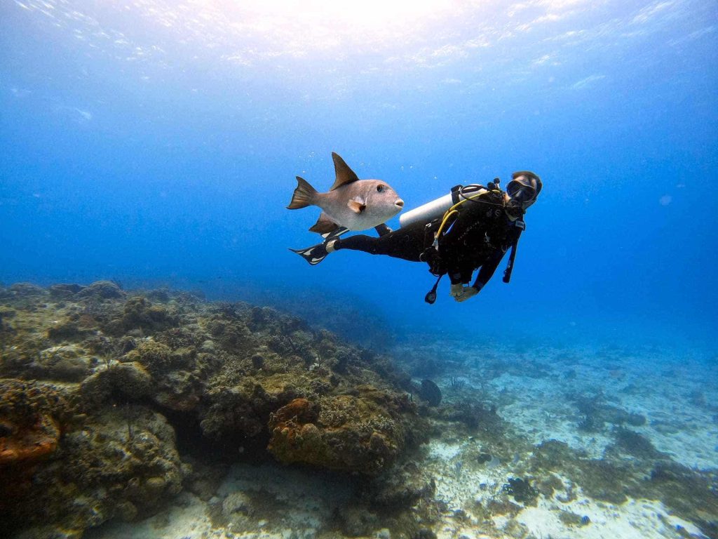 Scuba diver swimming with fish underwater
